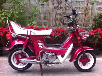 จำหน่าย รถป๊อป  และ อะไหล่แท้ นำเข้าจาก ประเทศญี่ปุ่น ( facebook.com/LRTmotor )